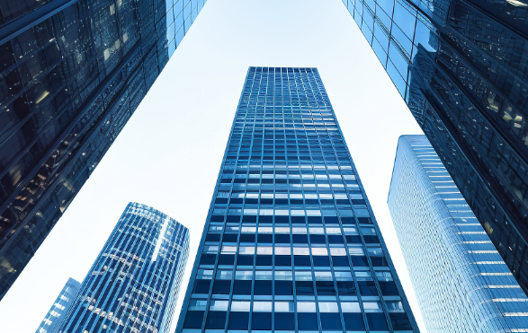 2025年软件定制开发行业技术演进与市场格局分析